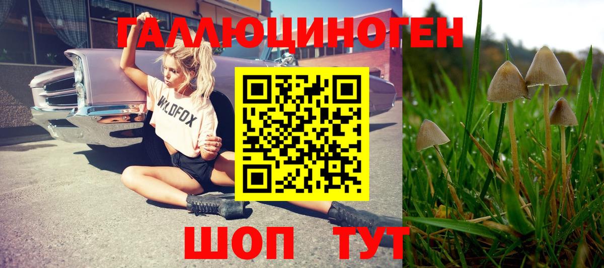 Псилоцибиновые грибы прущие грибы Карпинск