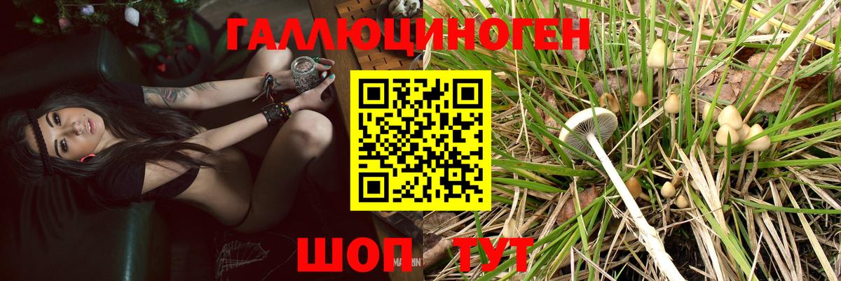 ТГК Карпинск